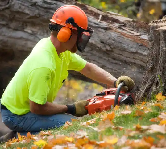 tree services Marine City